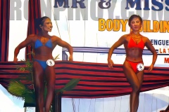 Womens-figure-upscaled