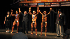 2008_pfbb-7