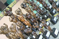 benguet2010-5