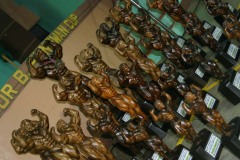 benguet2010-6