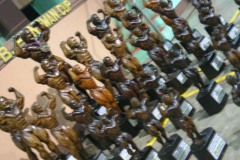 benguet2010-7
