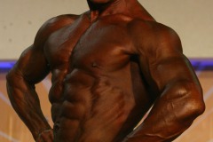 cobra_ironpinoy_2010-410-_14911654231_o