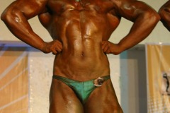 cobra_ironpinoy_2010-418-_14891732666_o