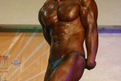 cobra_ironpinoy_2010-427-_14891725736_o