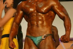 cobra_ironpinoy_2010-440-_14728042059_o