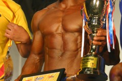 cobra_ironpinoy_2010-510-_14728092167_o