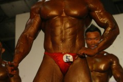 cobra_ironpinoy-pro-117-_14914457152_o