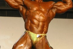 cobra_ironpinoy-pro-120-_14914456392_o