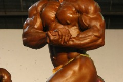 cobra_ironpinoy-pro-127-_14914455582_o