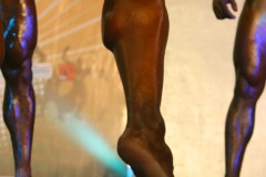 cobra_ironpinoy-pro-133-_14914454792_o