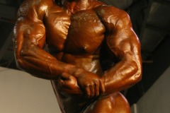 cobra_ironpinoy-pro-162-_14728252627_o