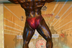 cobra_ironpinoy-pro-76-_14914462532_o