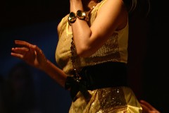 swi_great_bodies_2010_nightshow-65