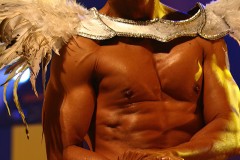swi_great_bodies_2010_nightshow-75