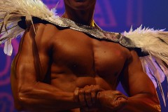 swi_great_bodies_2010_nightshow-77