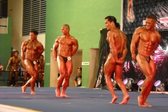 2010-PFBB-National-Bodybuilding-101