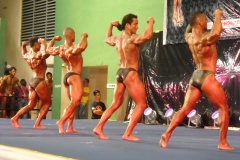 2010-PFBB-National-Bodybuilding-104