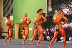 2010-PFBB-National-Bodybuilding-107