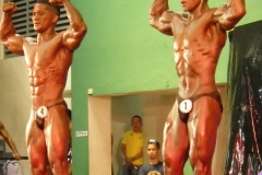 2010-PFBB-National-Bodybuilding-111