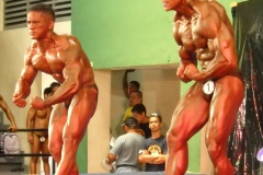 2010-PFBB-National-Bodybuilding-114
