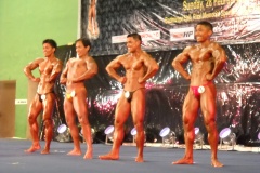 2010-PFBB-National-Bodybuilding-120