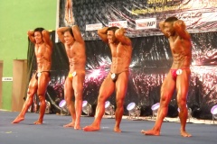 2010-PFBB-National-Bodybuilding-124