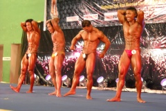 2010-PFBB-National-Bodybuilding-125