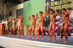 2010-PFBB-National-Bodybuilding-129