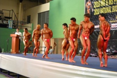 2010-PFBB-National-Bodybuilding-132