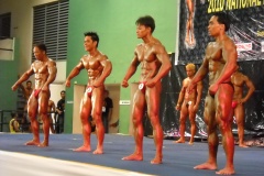 2010-PFBB-National-Bodybuilding-140