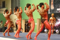 2010-PFBB-National-Bodybuilding-149