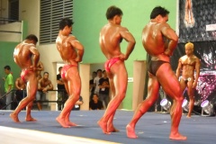 2010-PFBB-National-Bodybuilding-150