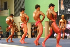 2010-PFBB-National-Bodybuilding-151