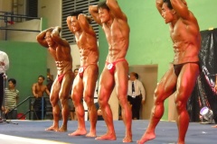 2010-PFBB-National-Bodybuilding-152