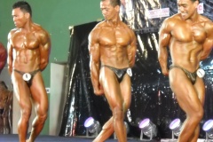 2010-PFBB-National-Bodybuilding-168