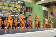 2010-PFBB-National-Bodybuilding-18