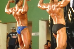 2010-PFBB-National-Bodybuilding-191