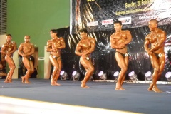 2010-PFBB-National-Bodybuilding-196