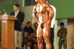 2010-PFBB-National-Bodybuilding-212