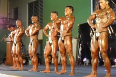 2010-PFBB-National-Bodybuilding-221