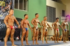 2010-PFBB-National-Bodybuilding-4