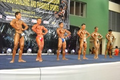 2010-PFBB-National-Bodybuilding-54