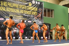 2010-PFBB-National-Bodybuilding-57