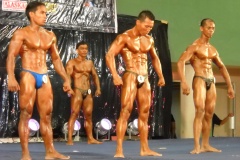 2010-PFBB-National-Bodybuilding-60