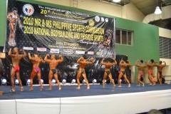 2010-PFBB-National-Bodybuilding-75
