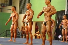 2010-PFBB-National-Bodybuilding-78