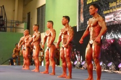 2010-PFBB-National-Bodybuilding-86