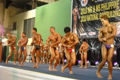 2010-PFBB-National-Bodybuilding-9