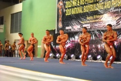 2010-PFBB-National-Bodybuilding-90