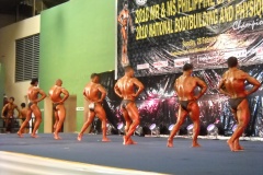 2010-PFBB-National-Bodybuilding-95